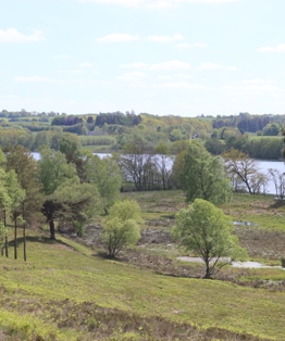 Udsigt Over Vedsø
