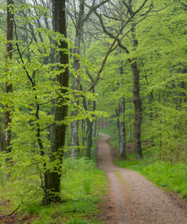 Natureeyes Viborg Naturpark KM 131