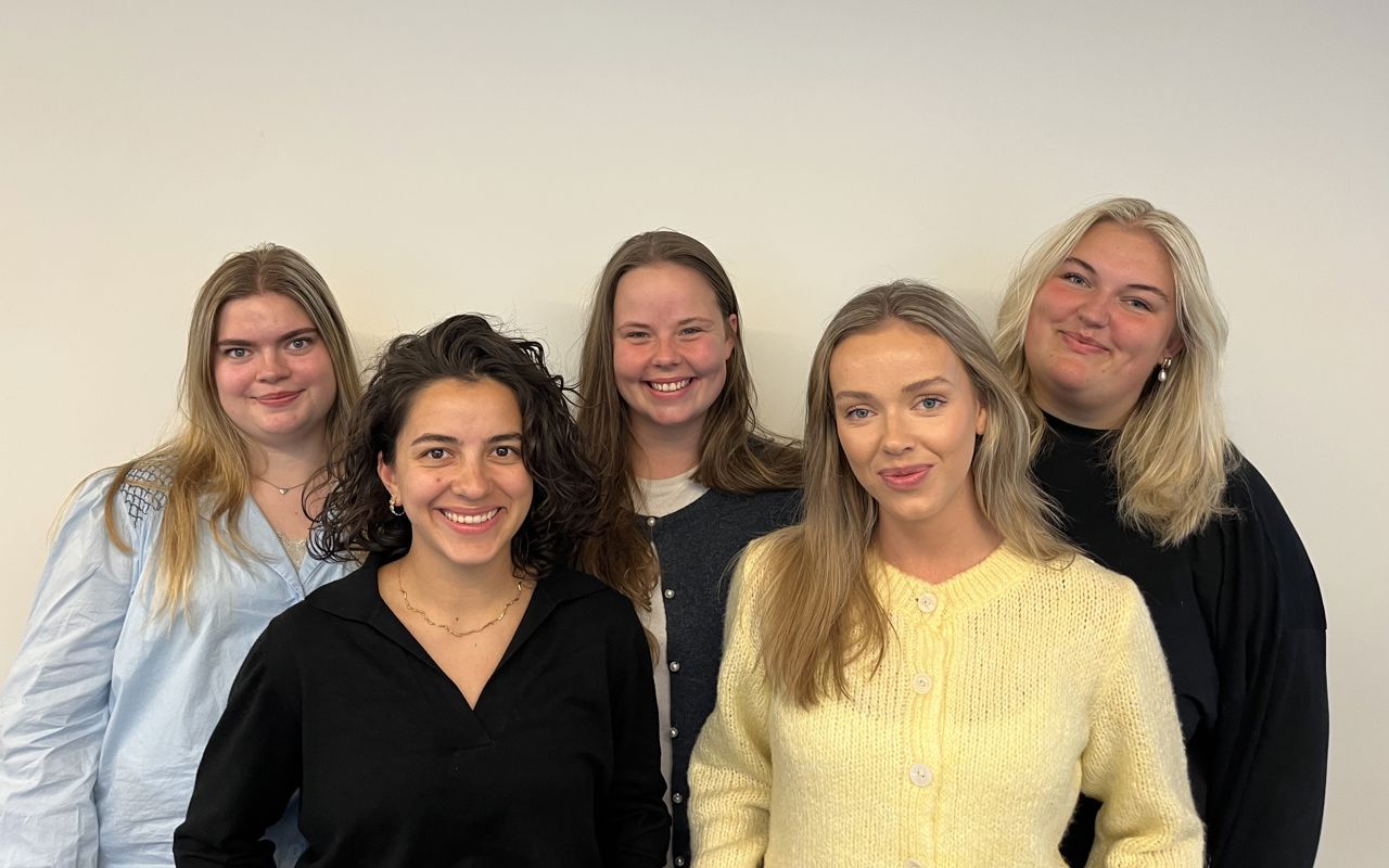 Billede af de fem studentermedhjælpere