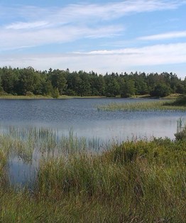 Birkesø 2015