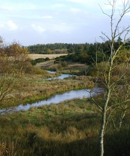 Borup Hede Mona Oester